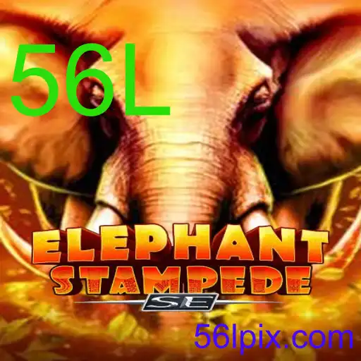 ElephantStampedeSE